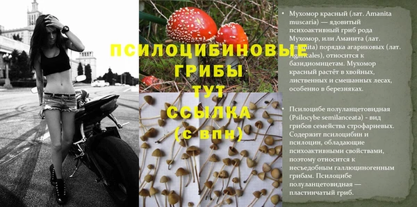 стафф Абаза