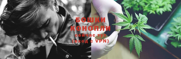 прущие грибы Абдулино