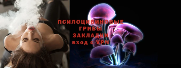 прущие грибы Абдулино