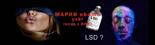 прущие грибы Абдулино