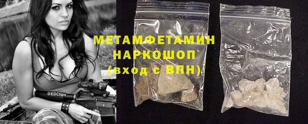 прущие грибы Абдулино