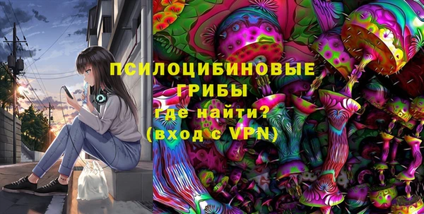 прущие грибы Абдулино